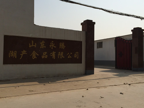 公司大门